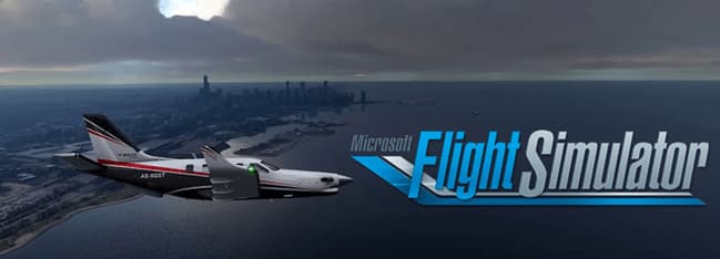 MS Flight Simulator